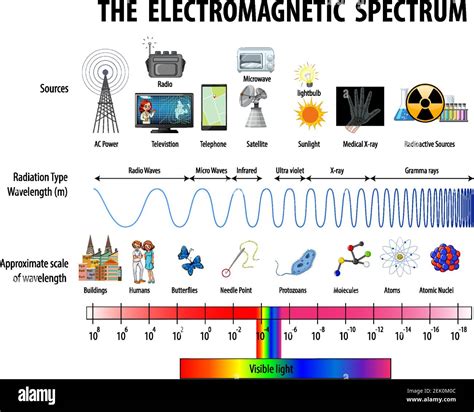 how are hormones similar to radio waves